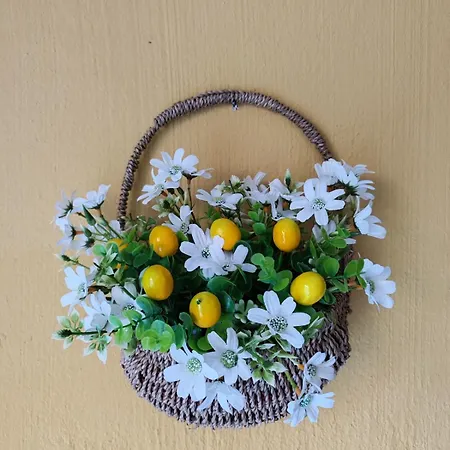 Manuela 维拉西米乌斯