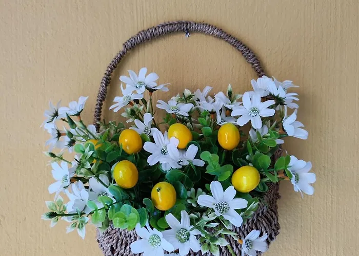 Manuela 빌라시미우스